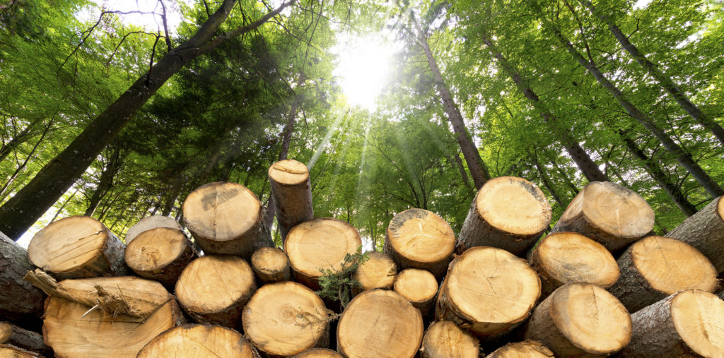 Specialized Logging Insurance American Loggers Insurance Specialized Logging Insurance American Loggers Insurance